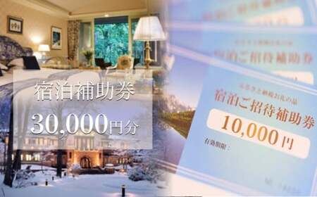 長野県白馬村 宿泊補助券30,000円分(10,000円分×3枚) 