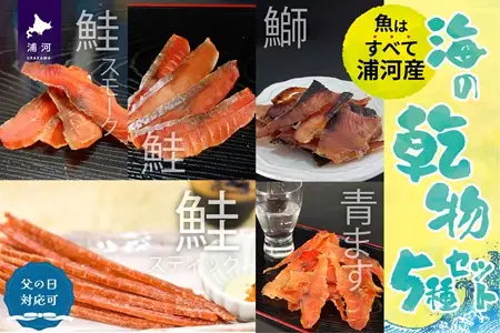 【父の日対応】北海道日高産 海鮮乾物5種セット[25-1459]