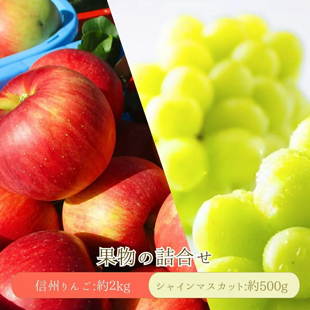 【2026年先行予約】 シャインマスカット 約500g・りんご3種詰め合わせ 計約2kg（5~8玉）セット ぶどう 葡萄 マスカット 林檎 詰合せ| シャインマスカット