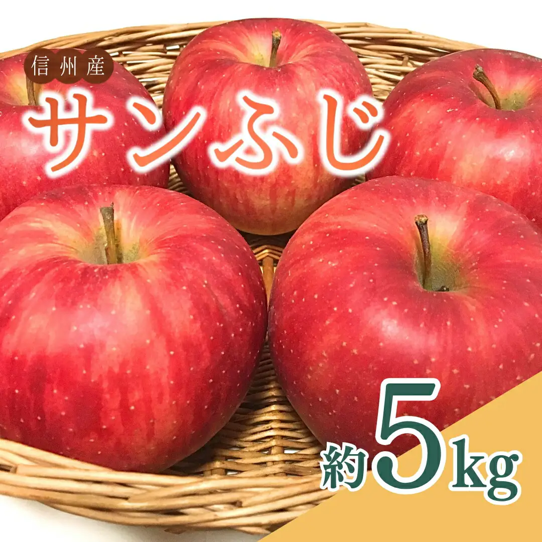 【2026年先行予約】ザ・王道 りんご サンふじ 約5kg |りんご