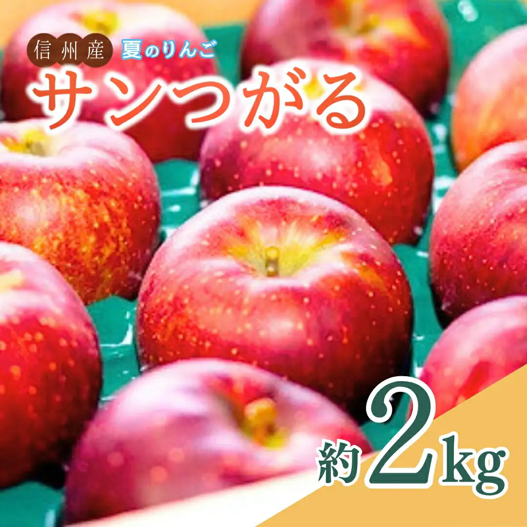 【2026年先行予約】夏のりんご サンつがる 約2㎏ ｜ りんご