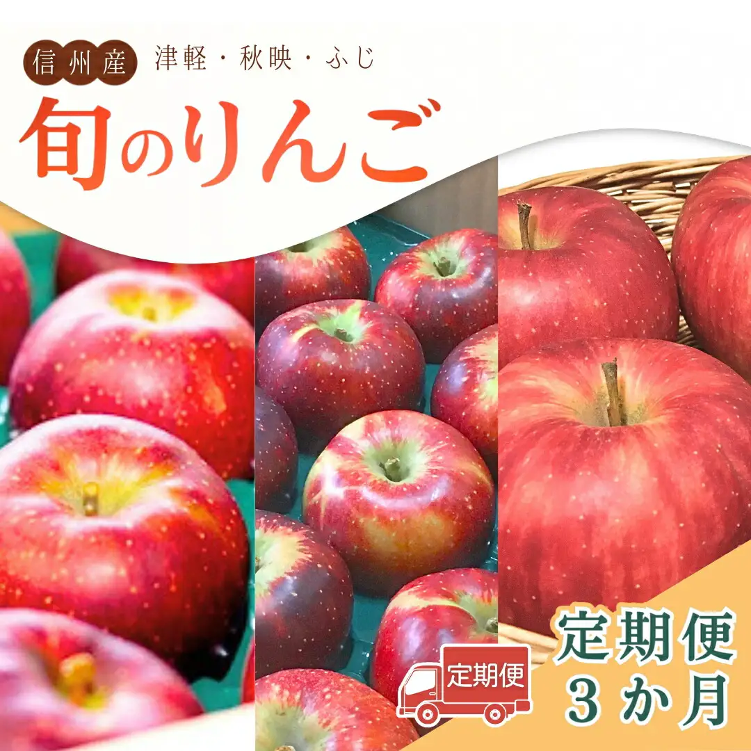 【2026年先行予約】【定期便3ヶ月】旬のりんご ｜ りんご