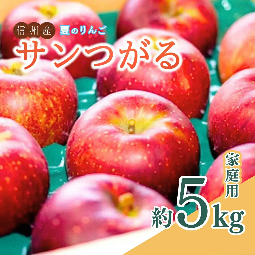 【2026年先行予約】夏のりんご サンつがる 家庭用 約5kg 訳あり ｜ りんご