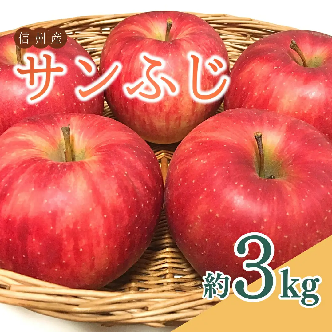 【2026年先行予約】ザ・王道 りんご サンふじ 約3kg |りんご