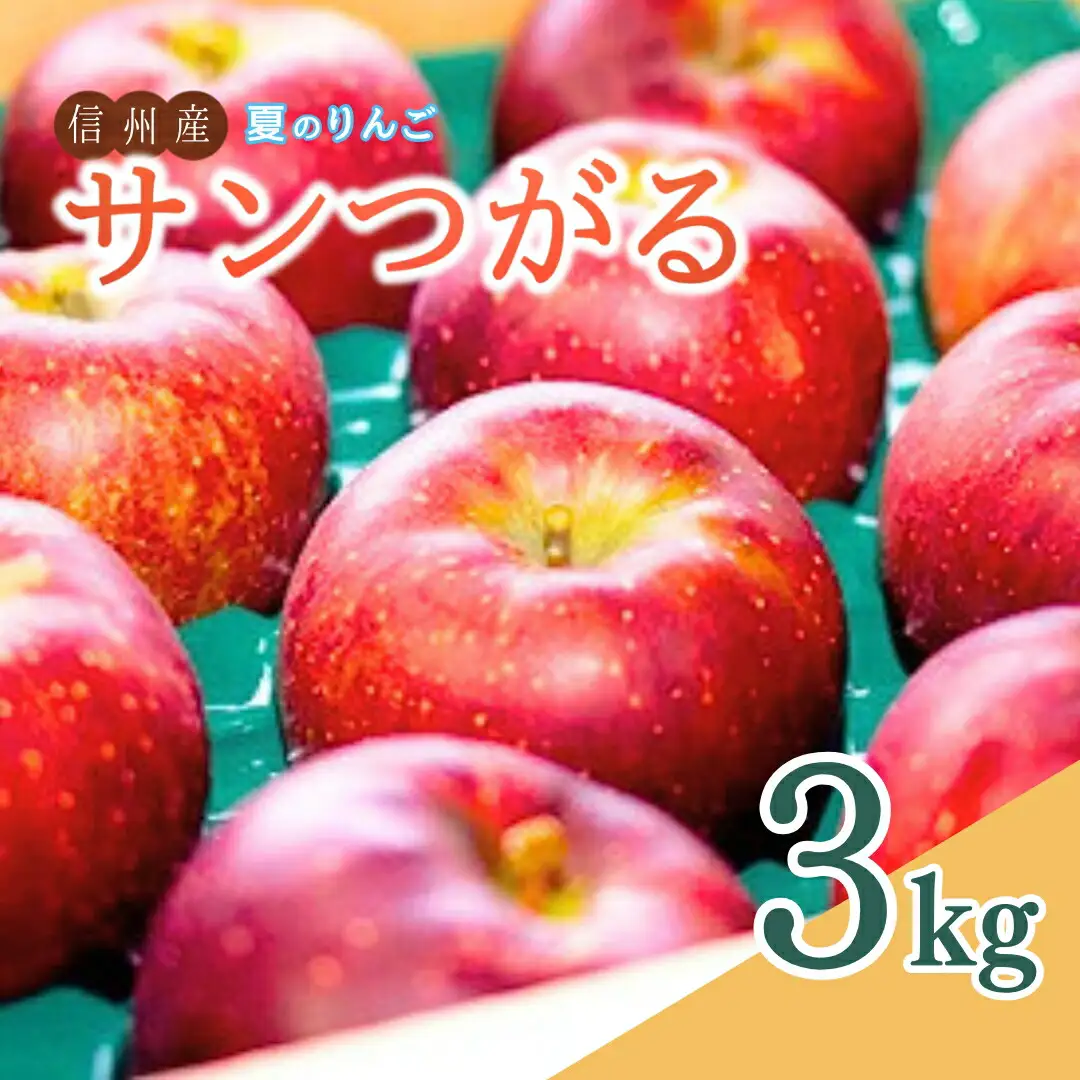 【2026年先行予約】夏のりんご サンつがる 約3㎏ ｜ りんご
