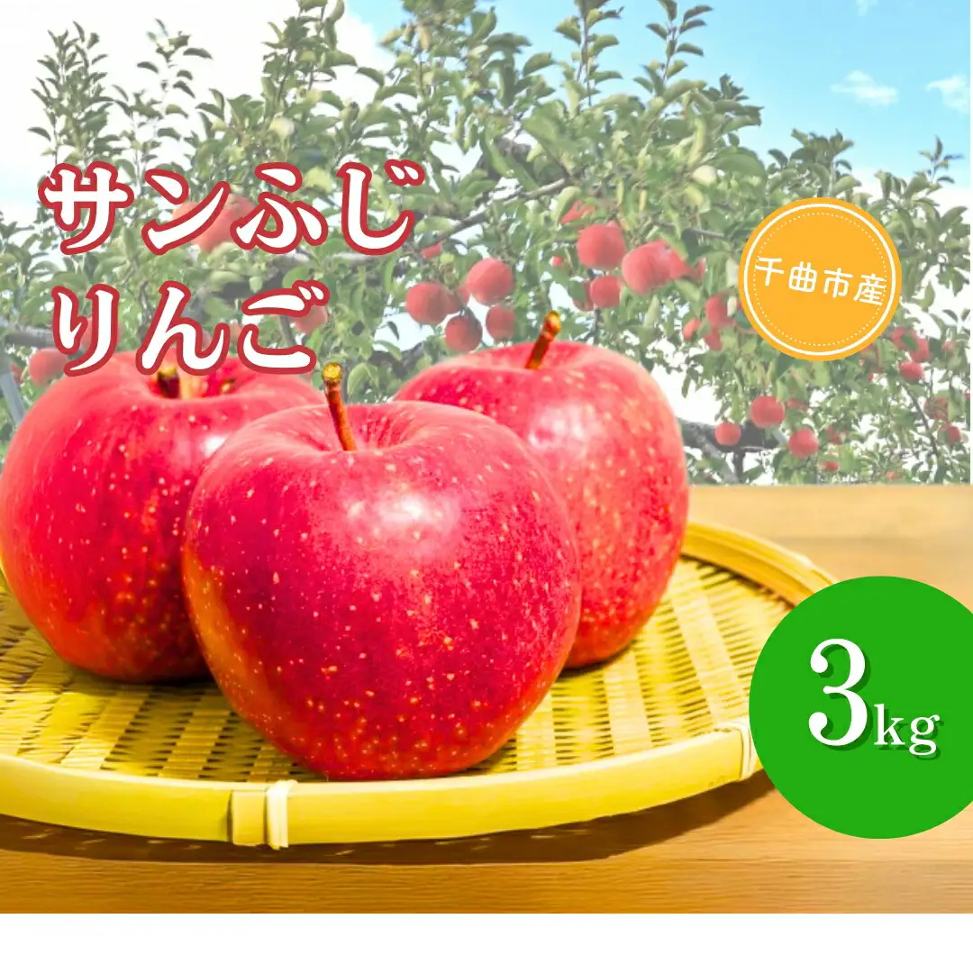 【2026年先行予約】りんご サンふじ  約3kg | りんご