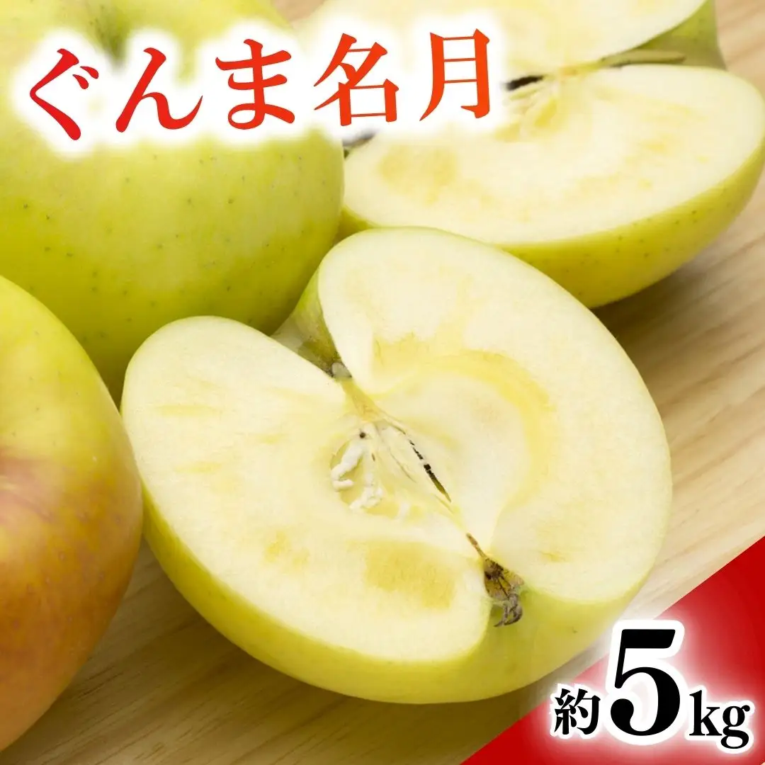 【2026年先行予約】りんご ぐんま名月 約5kg |りんご