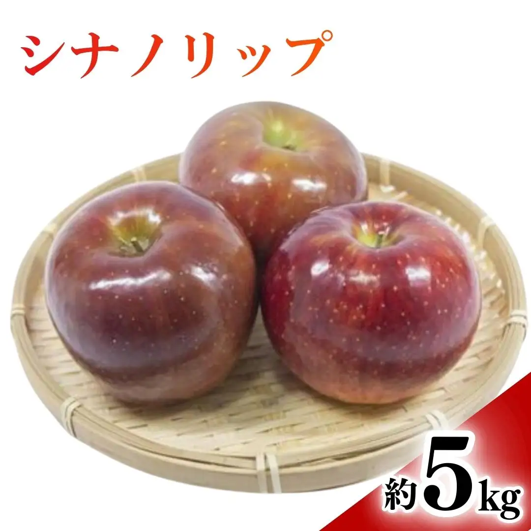【2026年先行予約】りんご シナノリップ(長野県オリジナル品種) 約5kg ｜ りんご