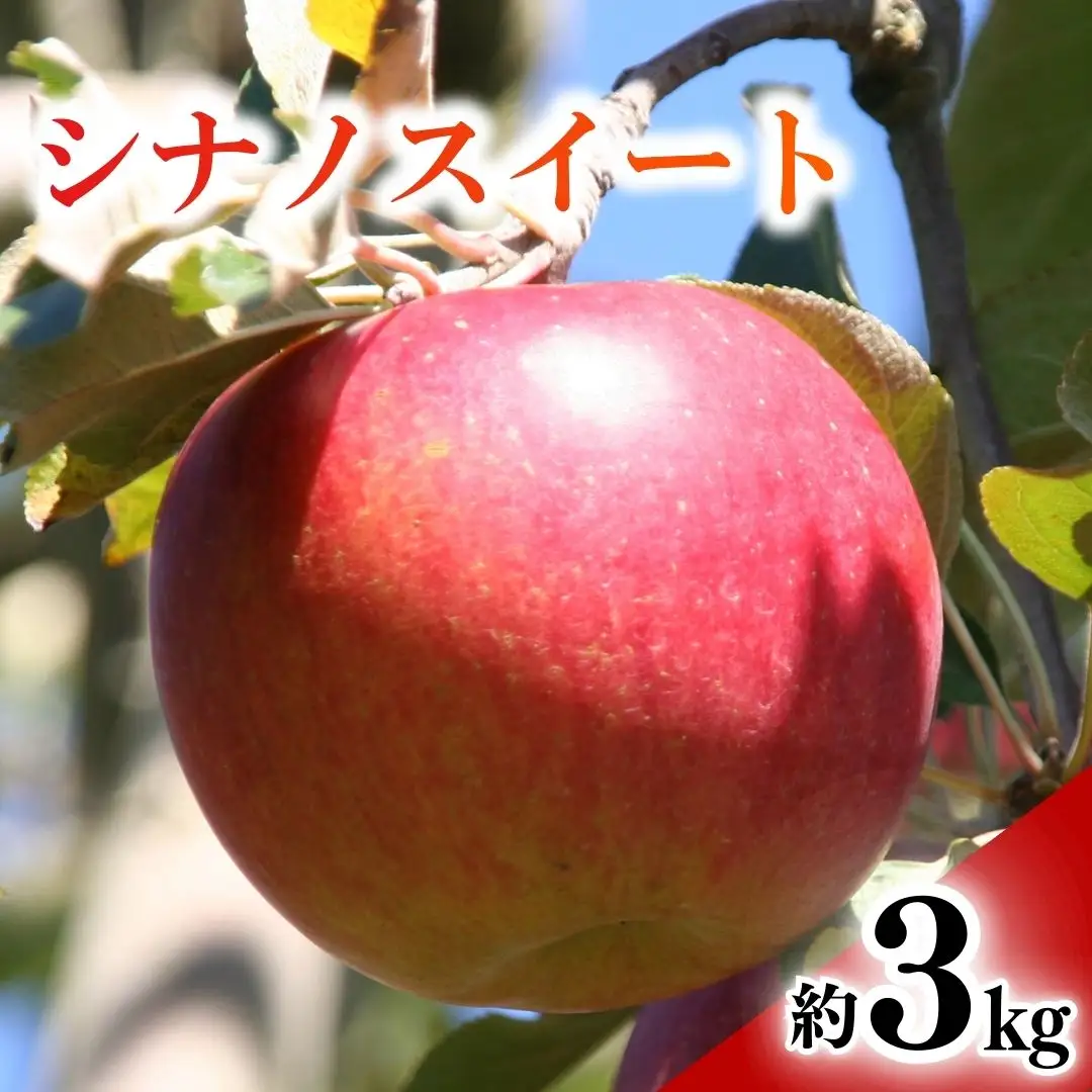 【2026年先行予約】りんご シナノスイート(長野県オリジナル品種) 約3kg |りんご
