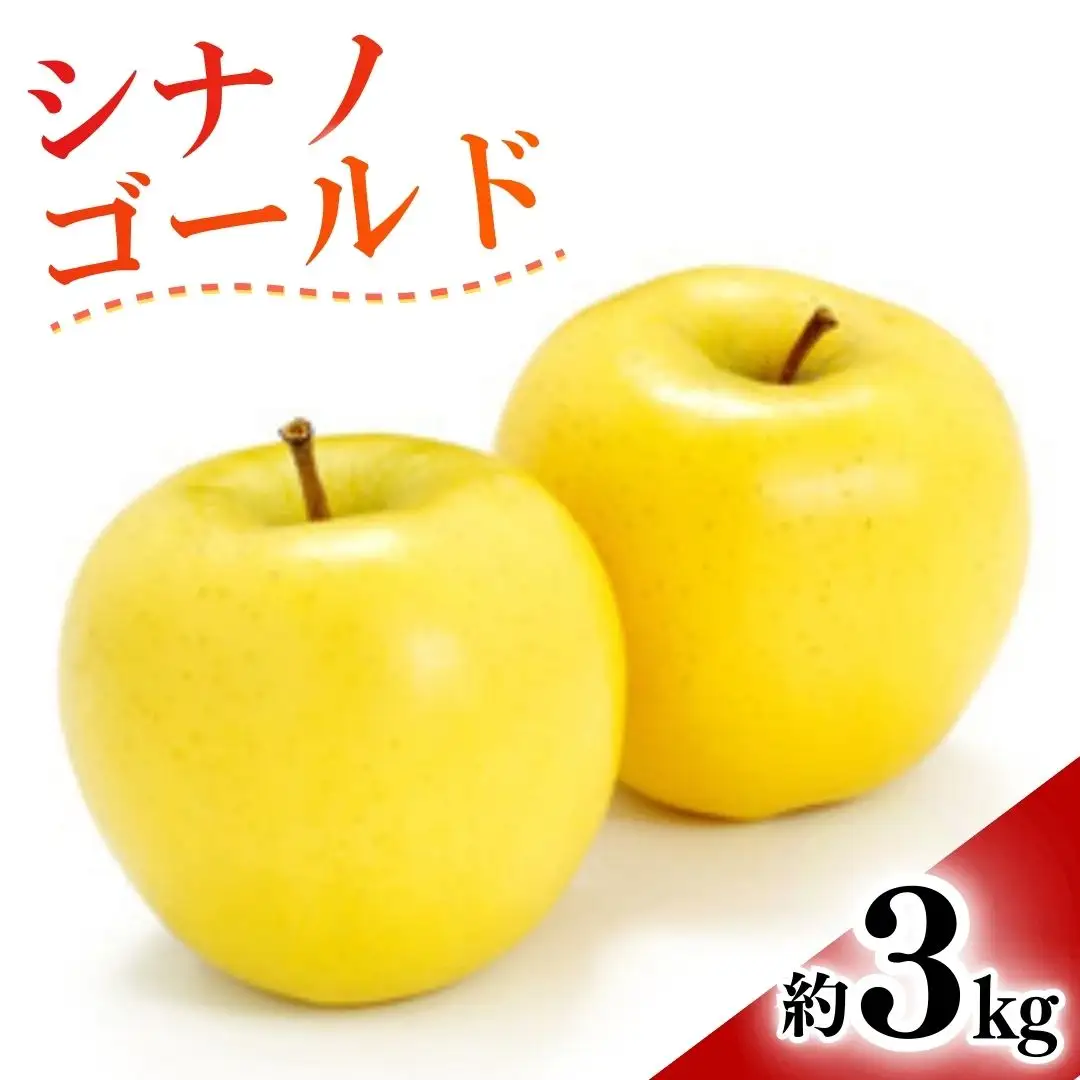 【2026年先行予約】りんご シナノゴールド(長野県オリジナル品種) 約3kg |りんご