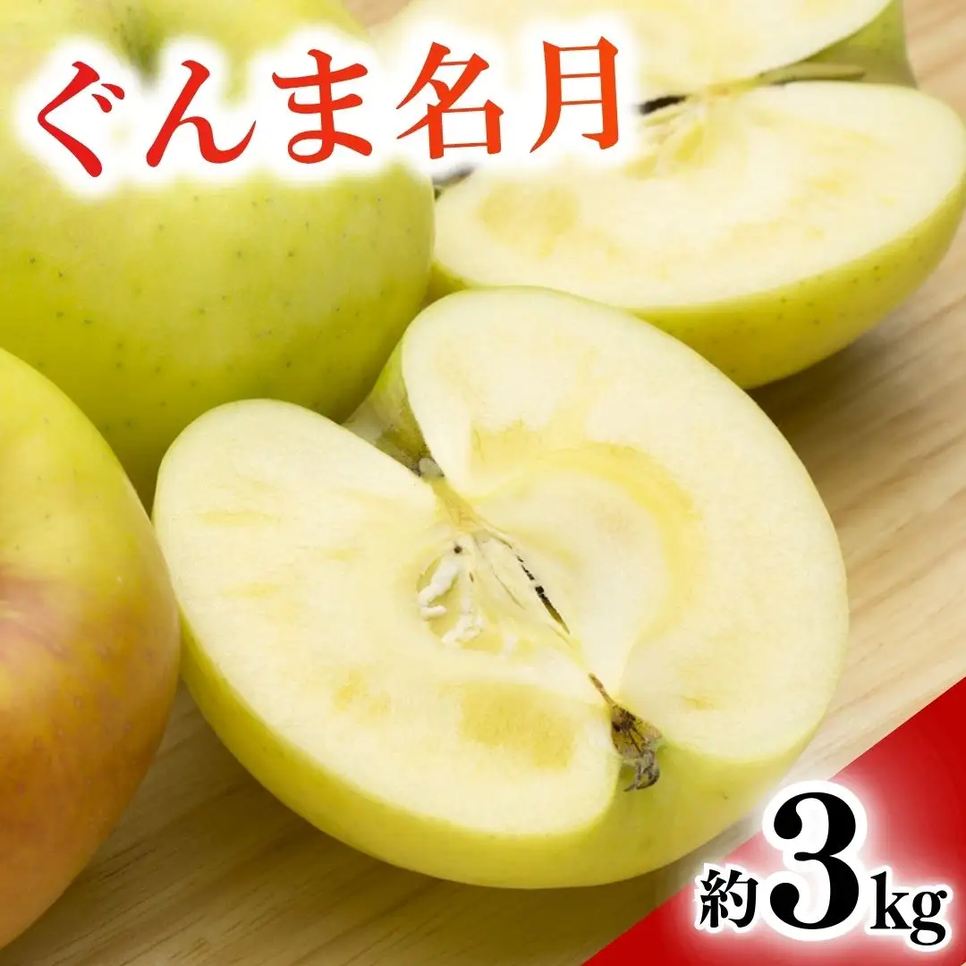 【2026年先行予約】りんご ぐんま名月 約3kg |りんご