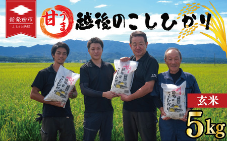 玄米 5kg 令和7年産 コシヒカリ 新潟 toushin030_01