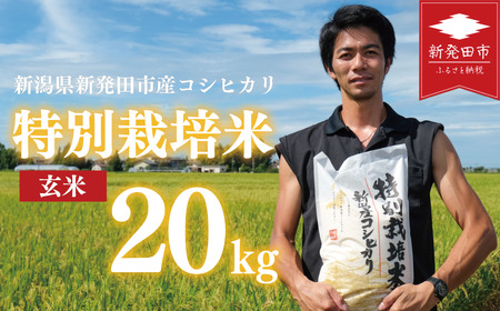 新潟産 特別栽培米 コシヒカリ 玄米 20kg 令和7年産 コシヒカリ 玄米 toushin026_01