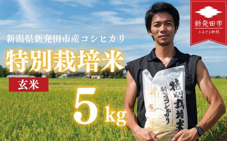 新潟産 特別栽培米 コシヒカリ 玄米 5kg 令和7年産 コシヒカリ toushin028_01
