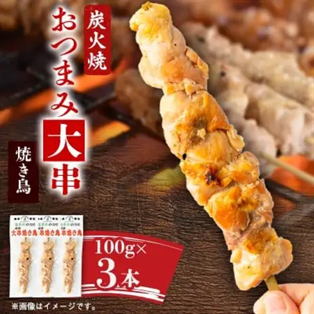 おつまみ大串焼き鳥 100g×3本セット_肉  鶏肉 _【1615758】