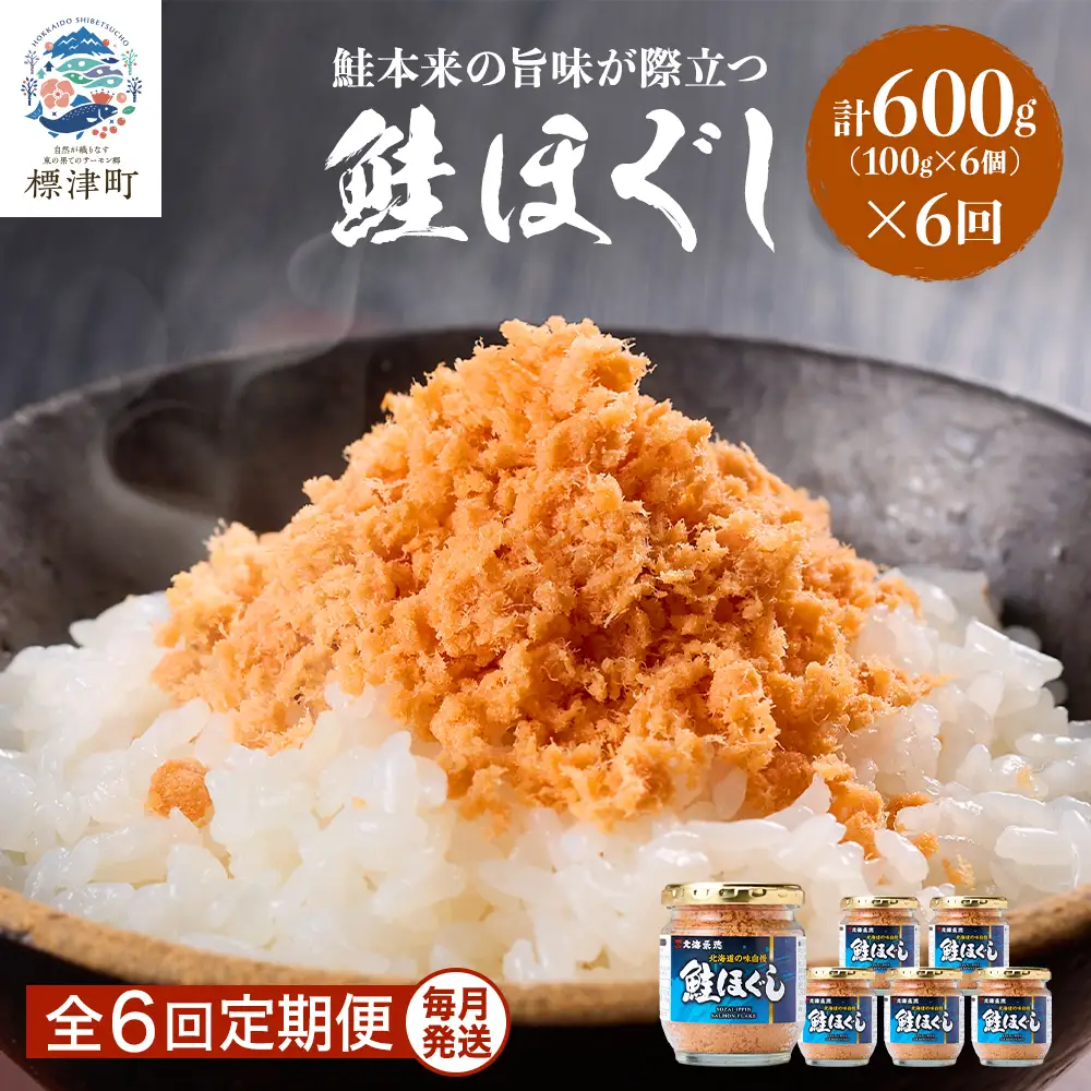 【毎月定期便】鮭ほぐし[100g×6個] 鮭フレーク全6回【AF108】