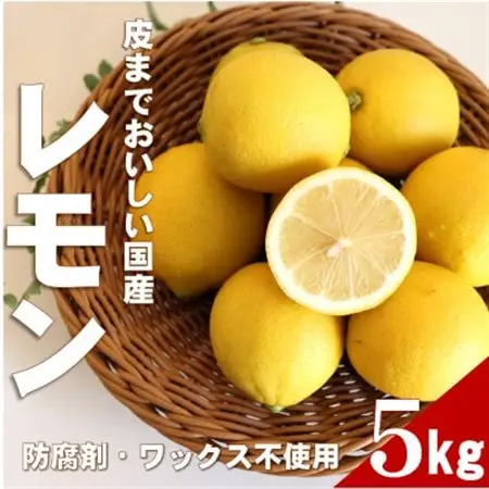 【ノーワックス】国産 紀州 レモン 約5kg(サイズおまかせ)【配送不可地域：離島】【1617431】