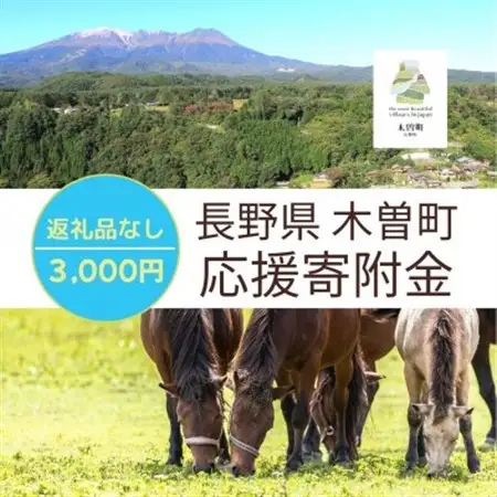 【返礼品なし】長野県木曽町応援寄附金(3,000円)