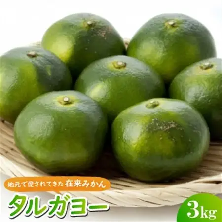 【2026年10月頃から順次発送】地元で愛されてきた在来みかん タルガヨー3kg【1618428】