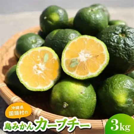 【2026年10月頃から順次発送】島みかん カーブチー 3kg【1618463】