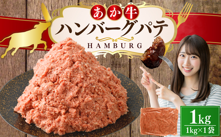 あか牛ハンバーグ パテ 1kg ハンバーグ 牛肉 肉 あか牛 国産牛 丸めるだけ 簡単調理 冷凍