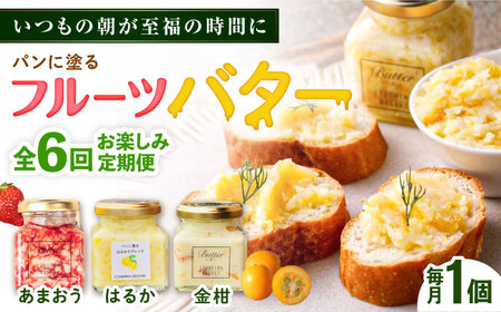 【全6回定期便】お楽しみ定期便 フルーツバター大1個 糸島市/糸島正キ ジャム クリーム 果物 [AQA063]