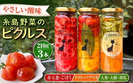 【ITOPICK】糸島野菜のピクルス3本セット 糸島市 / 糸島正キ [AQA098]