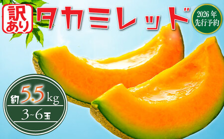 【先行受付】タカミメロン（家庭用）約5.5kg  赤肉メロン／訳あり 貴味メロン 果物 フルーツ [tke004_X2] 