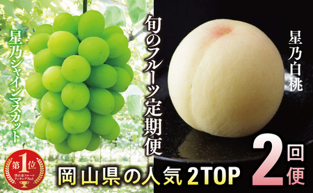 【発送月固定定期便】【人気セット】星乃フルーツ 桃+シャインマスカット全2回【配送不可地域：離島・北海道・沖縄県】【4067234】