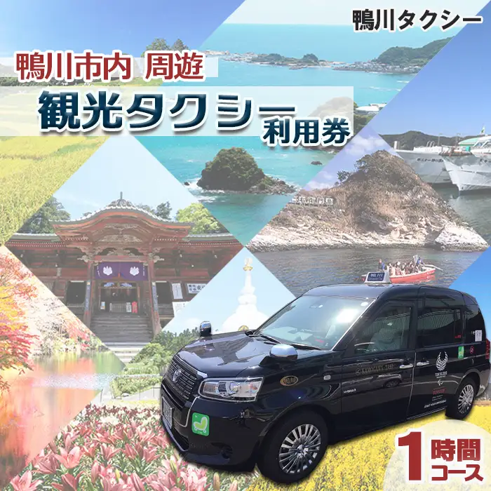 【千葉県鴨川市】観光タクシー貸切利用券 １時間（定員４名／１台）　[0027-0008]