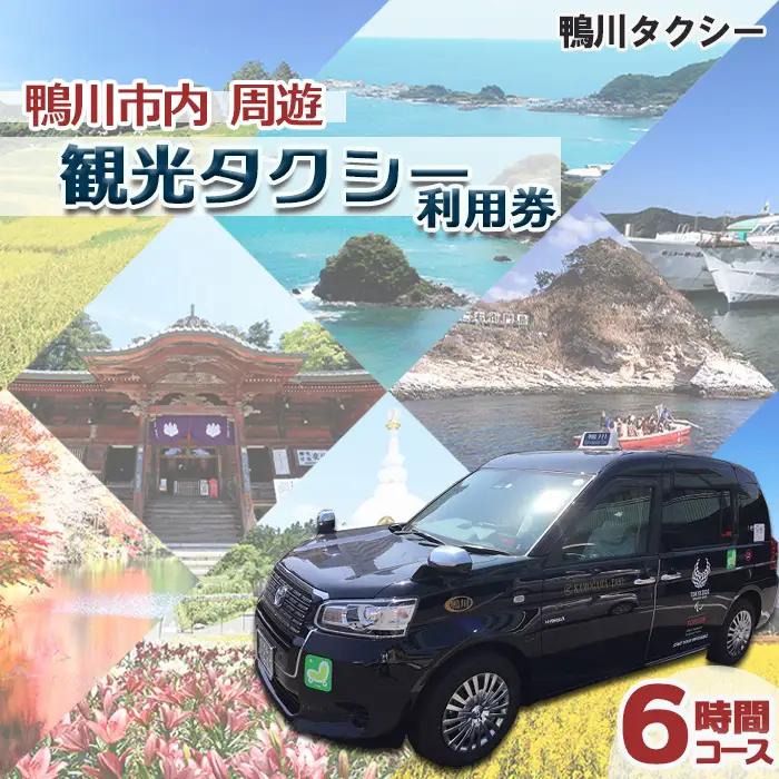 【千葉県鴨川市】観光タクシー貸切利用券 ６時間（定員４名／１台）　[0161-0001]