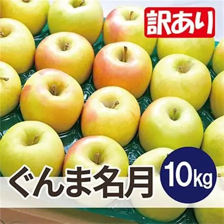 【26年11月から順次発送】平均糖度13度以上! ぐんま名月 約10kg 訳あり 青森県産 りんご_果物・フルーツ りんご  リンゴ 林檎_【配送不可地域：沖縄県】【1610379】