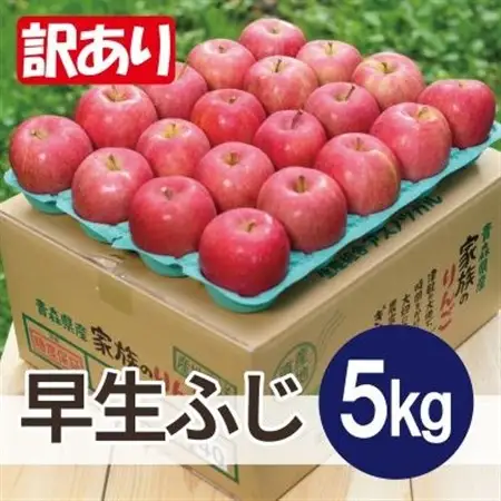 【26年10月より順次発送】平均糖度13度以上! 早生ふじ 約5kg 訳あり　青森りんご_果物・フルーツ りんご  リンゴ 林檎_【配送不可地域：沖縄県】【1610389】