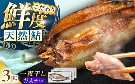 天然あゆ の一夜干し 特大 3匹【スピード配送】/ 恵那市 / 恵那物産館 [AUFS003]