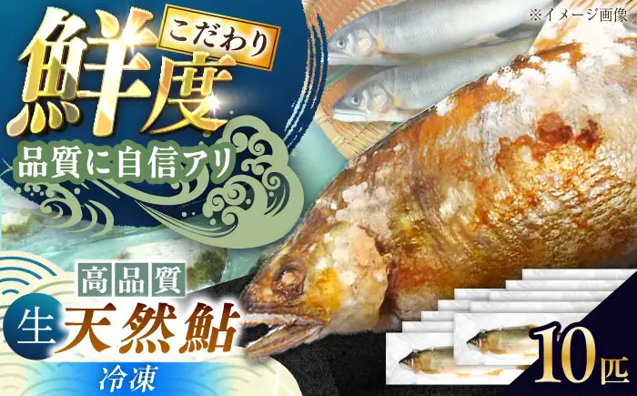 天然あゆ 18-20cm 10匹 / 恵那市 / 恵那物産館 [AUFS008]