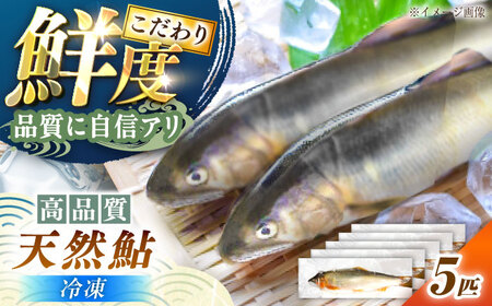 天然あゆ 18-20cm 5匹 / 恵那市 / 恵那物産館 [AUFS009]