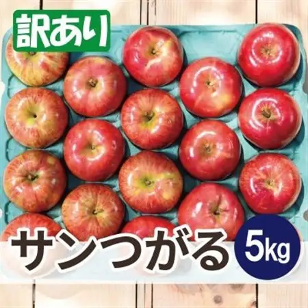 【26年8月下旬から発送】平均糖度12度以上! サンつがる 約5kg 訳あり  クール便　青森りんご_果物・フルーツ りんご  リンゴ 林檎_【配送不可地域：離島・沖縄県】【1611778】