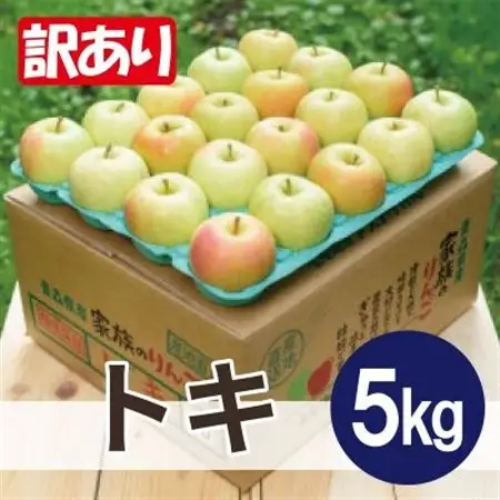 【26年10月～27年1月順次発送予定】平均糖度13度以上! トキ 約5kg 訳あり　青森県産りんご_果物・フルーツ りんご  リンゴ 林檎_【配送不可地域：沖縄県】【1611811】
