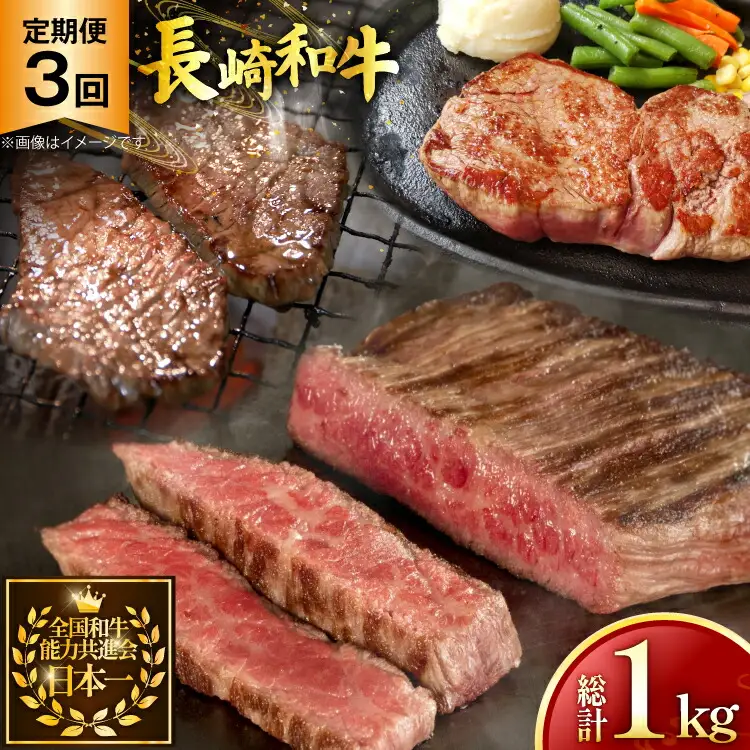 牛肉 和牛 定期便 長崎和牛 ステーキ 食べ比べ 3回 ヒレ ランプ サーロイン 総計1.0kg [黒牛 長崎県 東彼杵町 hs42bag750004]