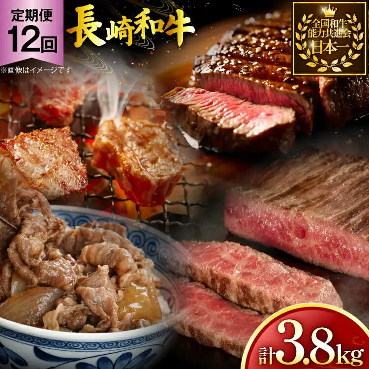 牛肉 長崎和牛 赤身 モモ焼肉 モモスライス ランプステーキ ヒレステーキ もも切り落とし 約2人前 12回 総計3.8kg [黒牛 長崎県 東彼杵町 hs42bag750018]