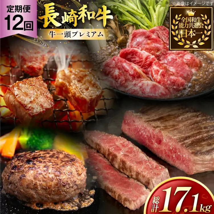牛肉 和牛 牛一頭プレミアム定期便「長崎和牛をまるごと堪能」 12回 総計17.1kg [黒牛 長崎県 東彼杵町 hs42bag750073]