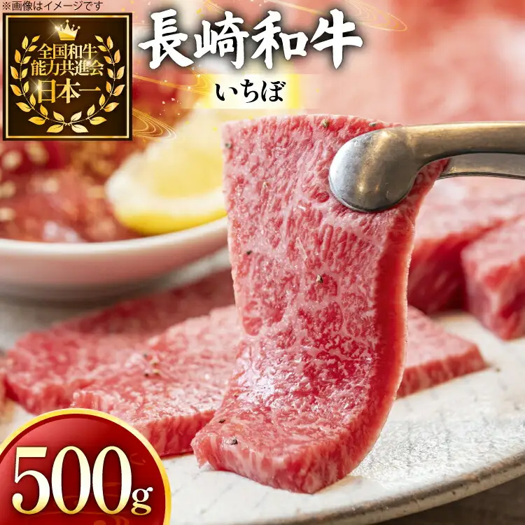 牛肉 長崎和牛 焼肉用 いちぼ 500g [黒牛 長崎県 東彼杵町 hs42bag750075]