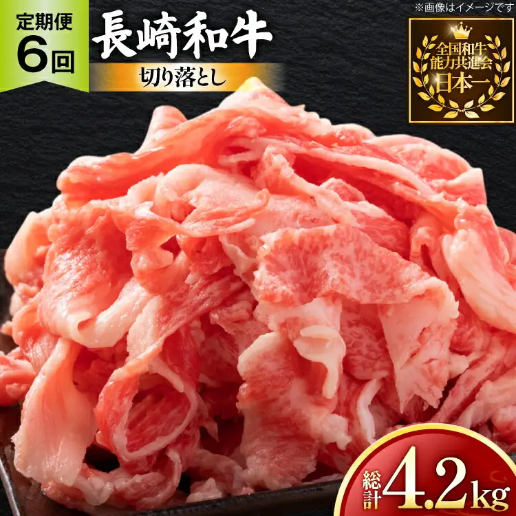 牛肉 和牛 定期便 長崎和牛 切り落とし 700g 6回 総計4.2kg [黒牛 長崎県 東彼杵町 hs42bag750080]
