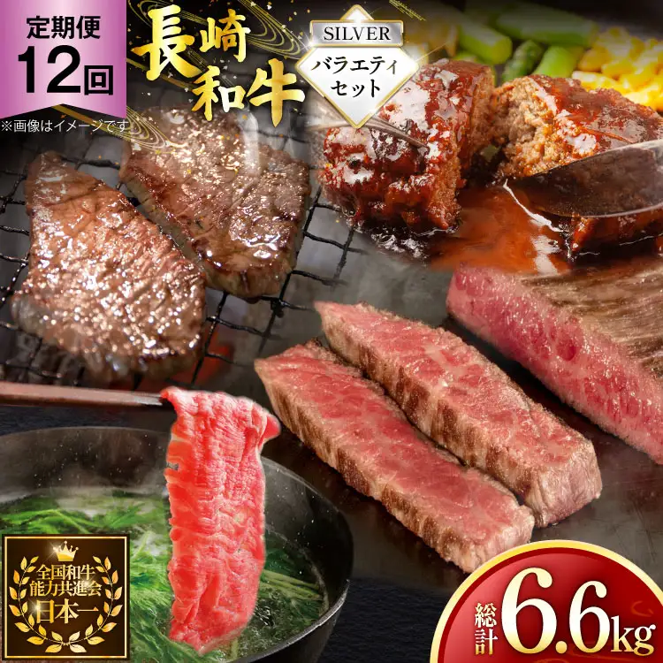 牛肉 和牛 定期便 長崎和牛 バラエティセット「シルバー」 12回 総計6.6kg [黒牛 長崎県 東彼杵町 hs42bag750082]