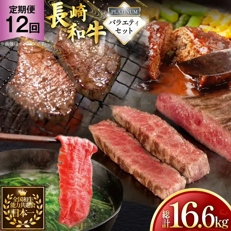 牛肉 和牛 定期便 長崎和牛 バラエティセット「プラチナ」 12回 総計16.6kg [黒牛 長崎県 東彼杵町 hs42bag750083]
