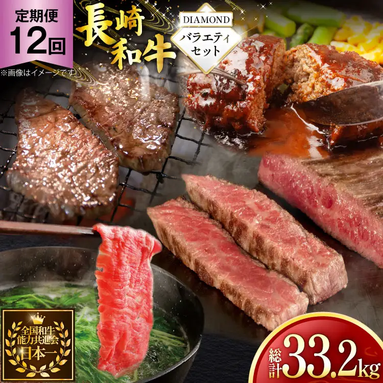牛肉 和牛 定期便 長崎和牛 バラエティセット「ダイヤモンド」 12回 総計33.2kg [黒牛 長崎県 東彼杵町 hs42bag750085]