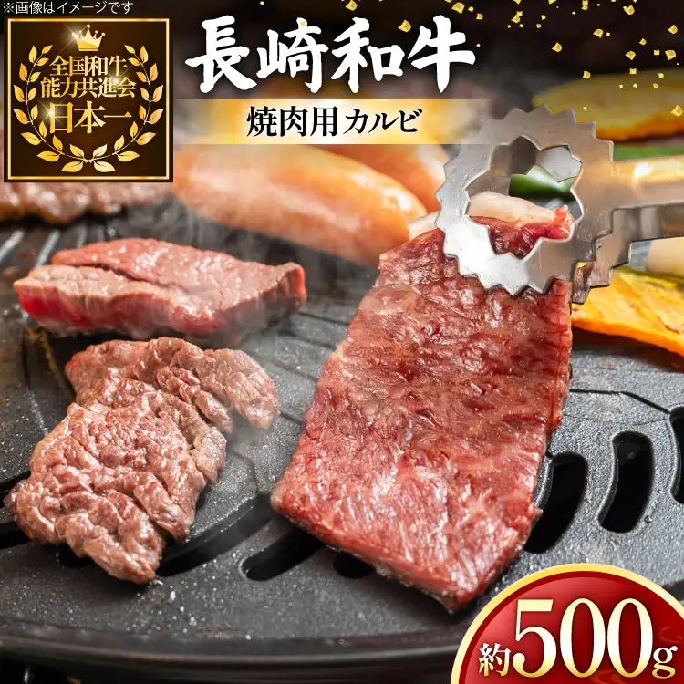 牛肉 和牛 長崎和牛 焼肉用 カルビ 約500g [黒牛 長崎県 東彼杵町 hs42bag750087]