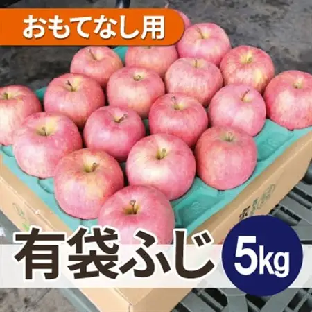 平均糖度13度以上! 有袋ふじ 約5kg おもてなし用 CA貯蔵 クール便_果物・フルーツ りんご  リンゴ 林檎_【配送不可地域：離島・沖縄県】【1613261】