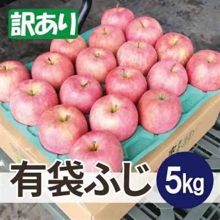 平均糖度13度以上! 有袋ふじ 約5kg 訳あり CA貯蔵 クール便_果物・フルーツ りんご  リンゴ 林檎_【配送不可地域：離島・沖縄県】【1613264】