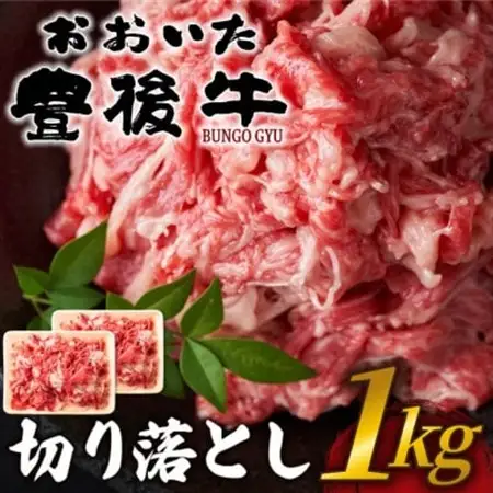 おおいた豊後牛切り落とし 1kg(500g×2P)(日出町)_肉 黒毛和牛 牛肉 _【配送不可地域：離島】【1571547】
